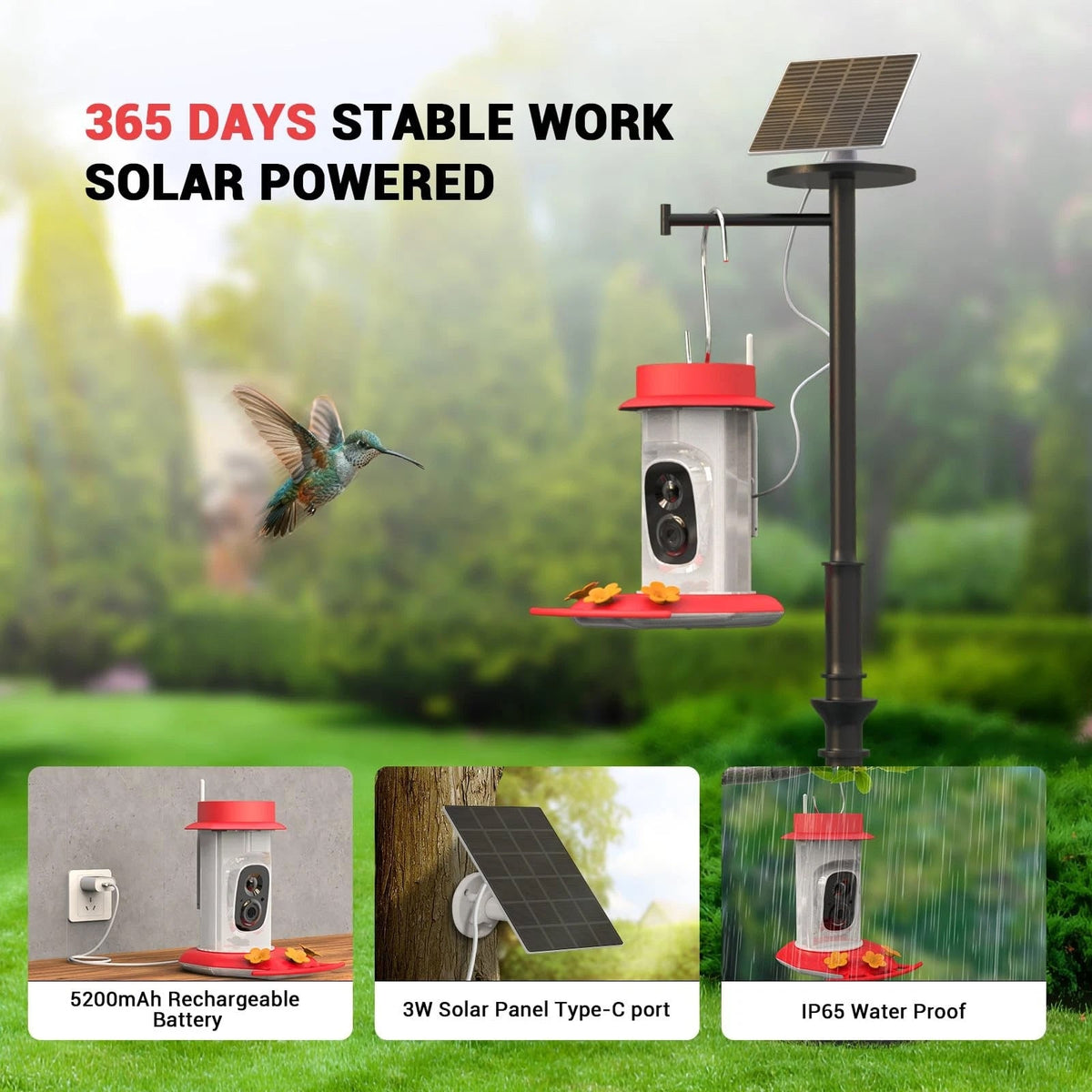 Nourishing Bird Food Formula