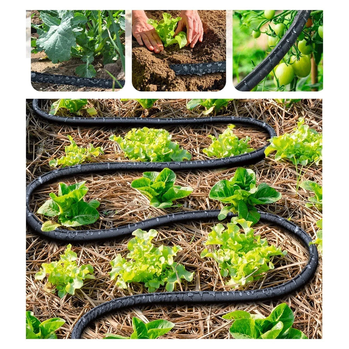 100ft Soaker Hose for Accurate Garden Root Irrigation