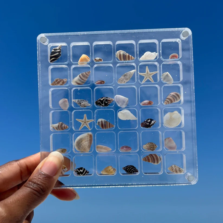 Stylish Display for Your Ocean Treasures