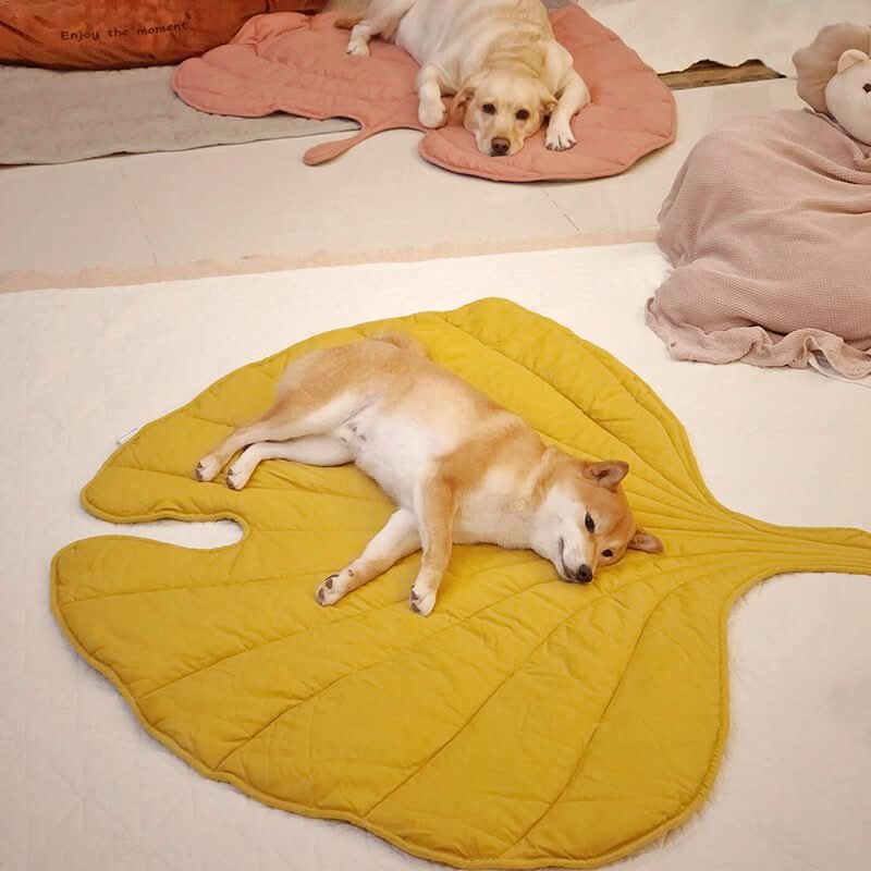 Leaf-Shaped Dog Bed – Cozy Cotton and Polyester Pet Bed – Ginkgo Yellow