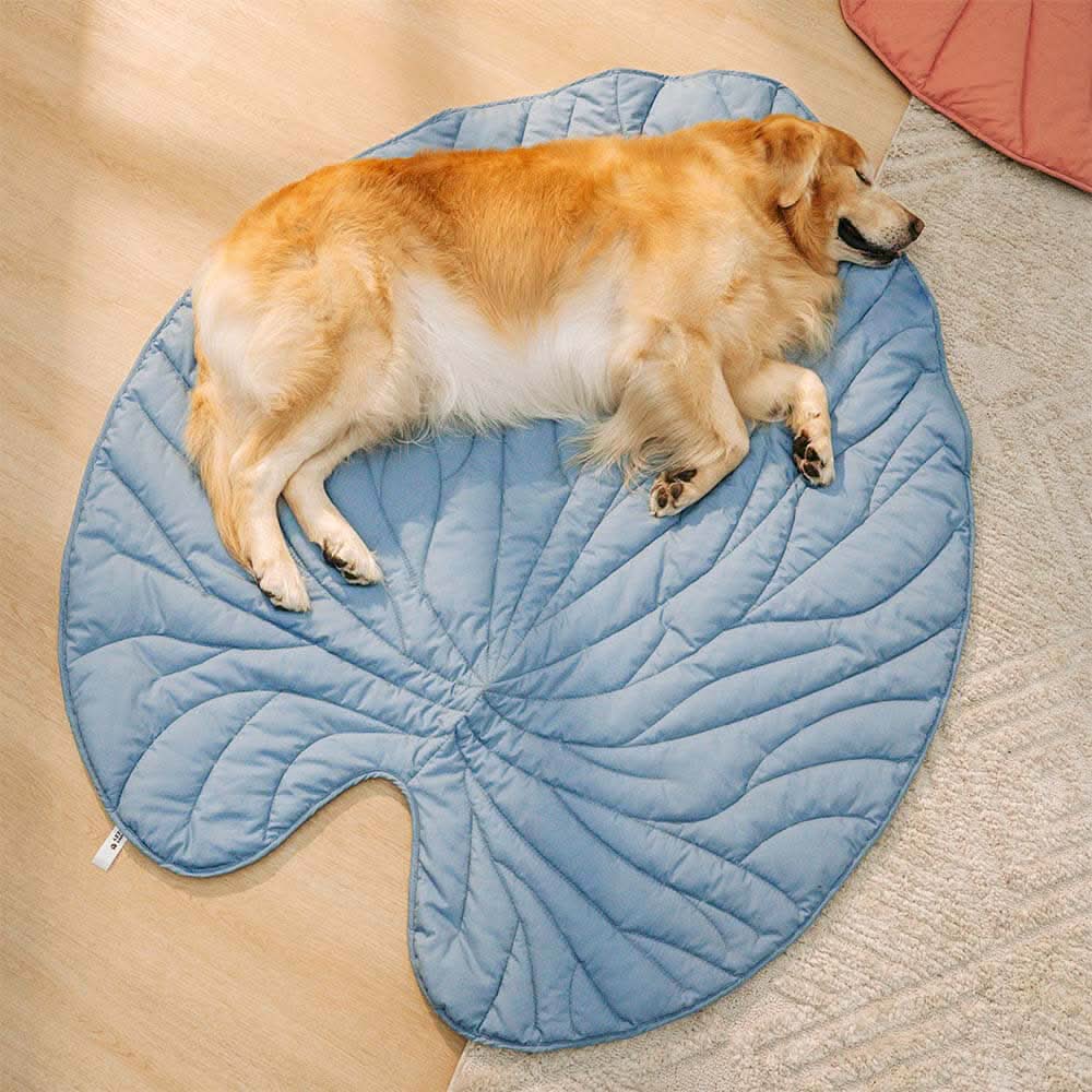 Leaf-Shaped Dog Bed – Cozy Cotton and Polyester Pet Bed – Water Lily Blue Super Large
