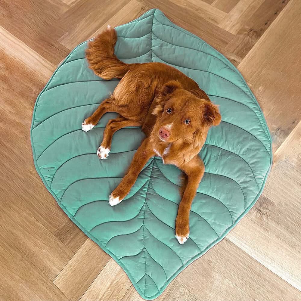 Leaf-Shaped Dog Bed – Cozy Cotton and Polyester Pet Bed – Veldesdoorn Green