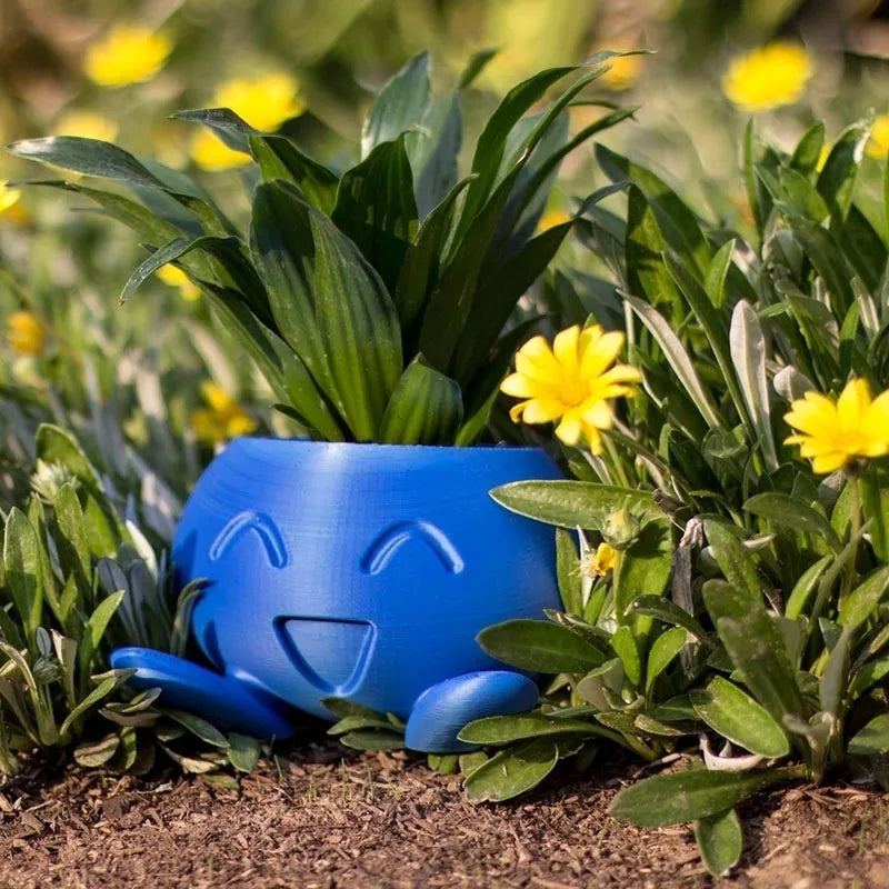 Ceramic Flower Pot with Face Design for Small Plants