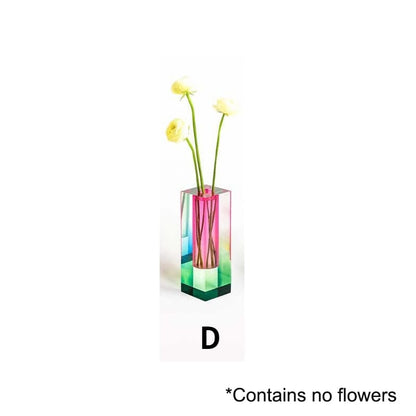 Colorful Indoor Plant Pot Set – D