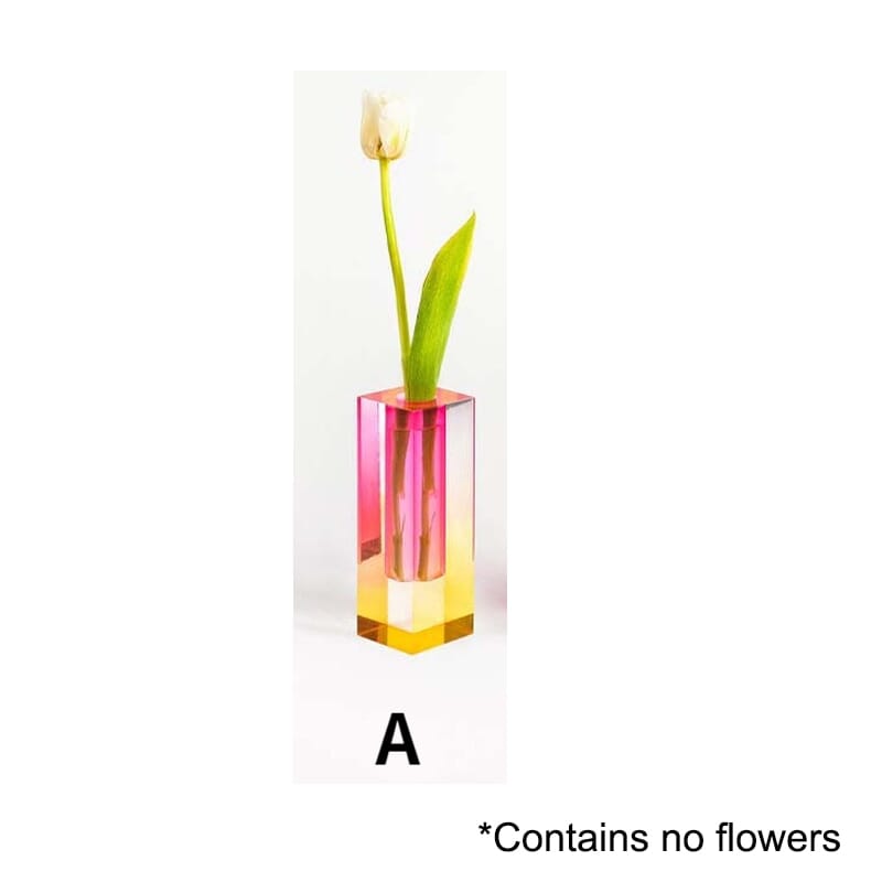 Colorful Indoor Plant Pot Set – A