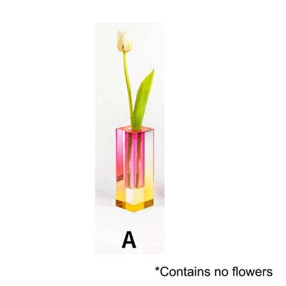 Colorful Indoor Plant Pot Set – A