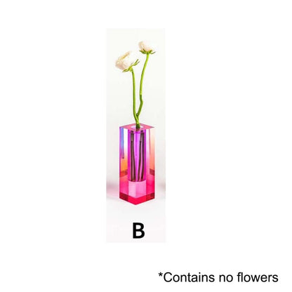 Colorful Indoor Plant Pot Set – B