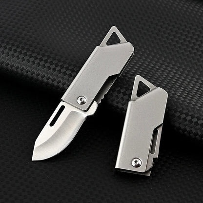 Compact Stainless Steel Folding Knife – Portable EDC for Camping and Survival – Silver