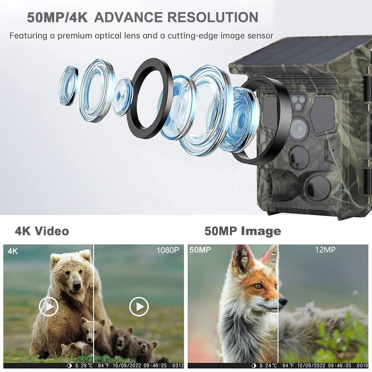 Version 3 of Wildsnap