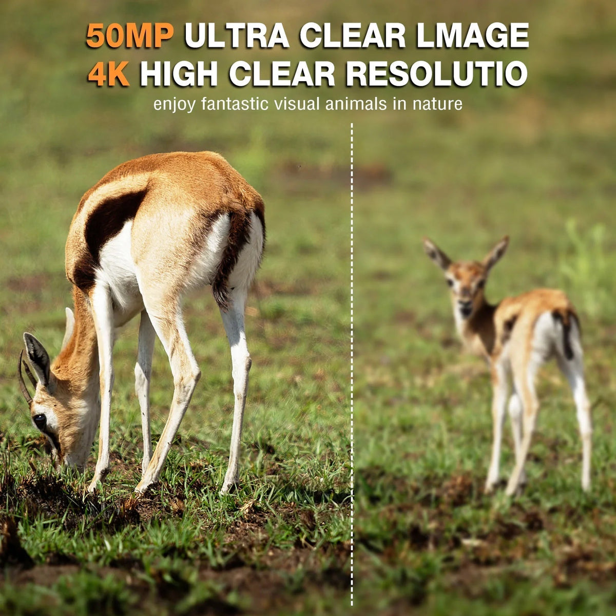 Version 3 of Wildsnap