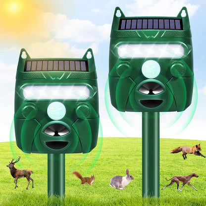 Eco-Friendly Product