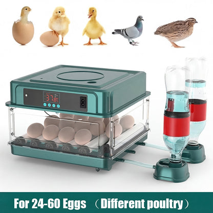 Automated Chicken Coop Door Opener – Green