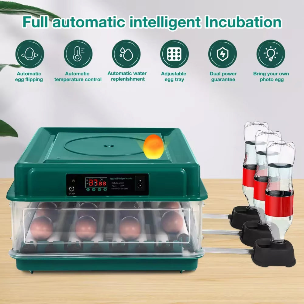 Automated Chicken Coop Door Opener – Green