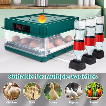 Automated Chicken Coop Door Opener – Green