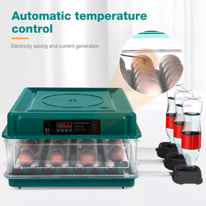 Automated Chicken Coop Door Opener – Green