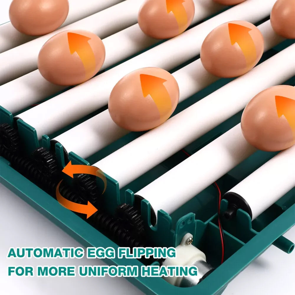 Automated Chicken Coop Door Opener – Green