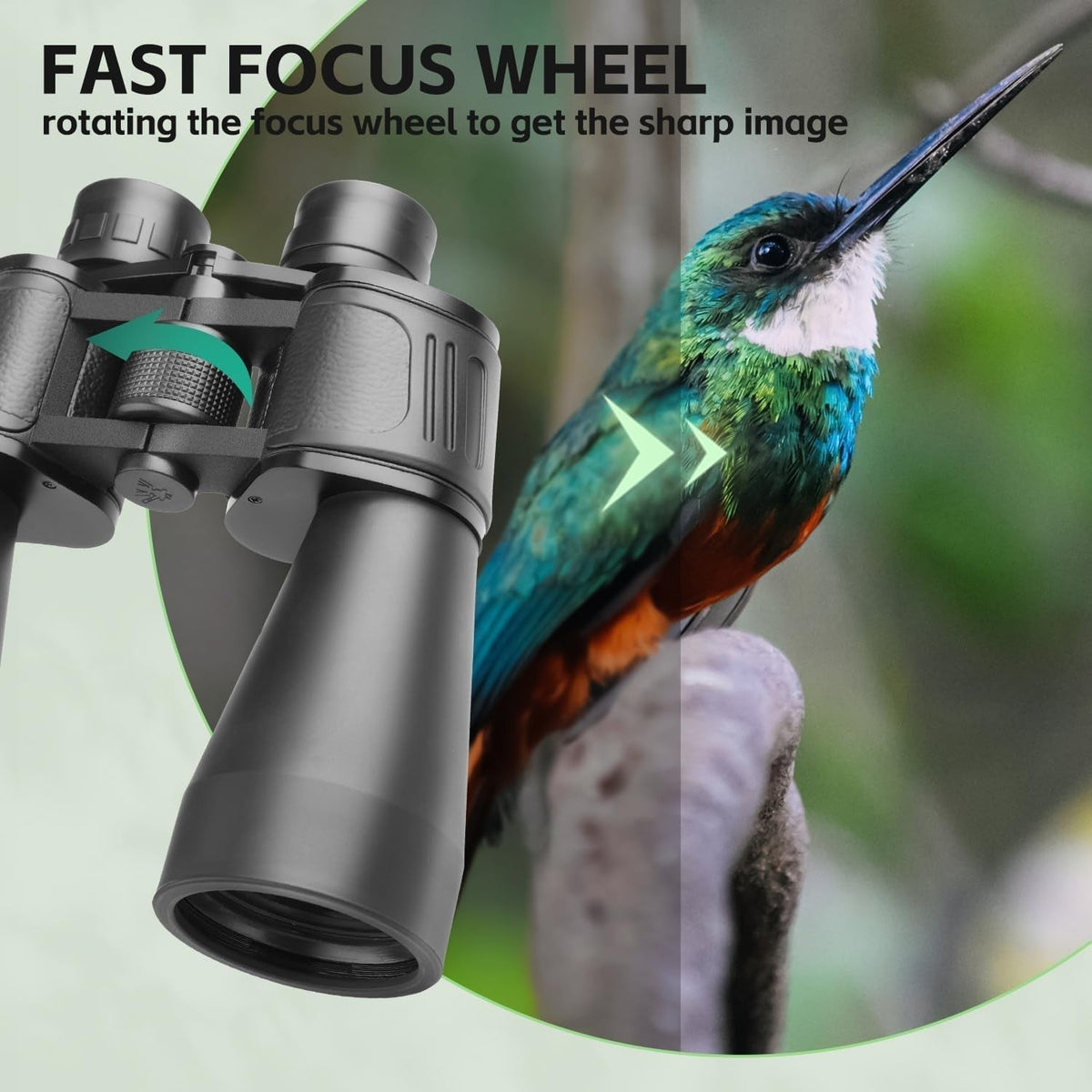 20x60 Professional Binoculars for Bird Watching in the UK