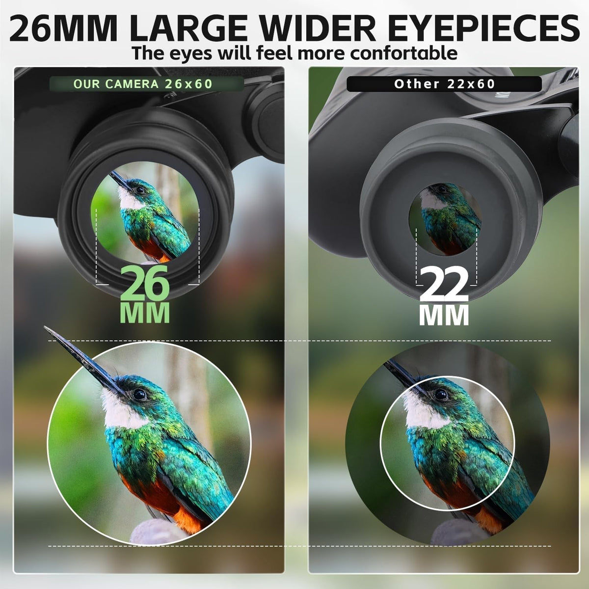 20x60 Professional Binoculars for Bird Watching in the UK