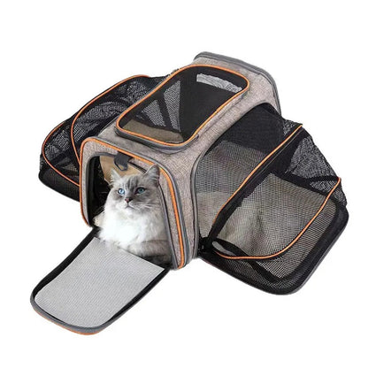 Foldable Dog Carrier with Safety Zipper – Breathable and Portable – Orange