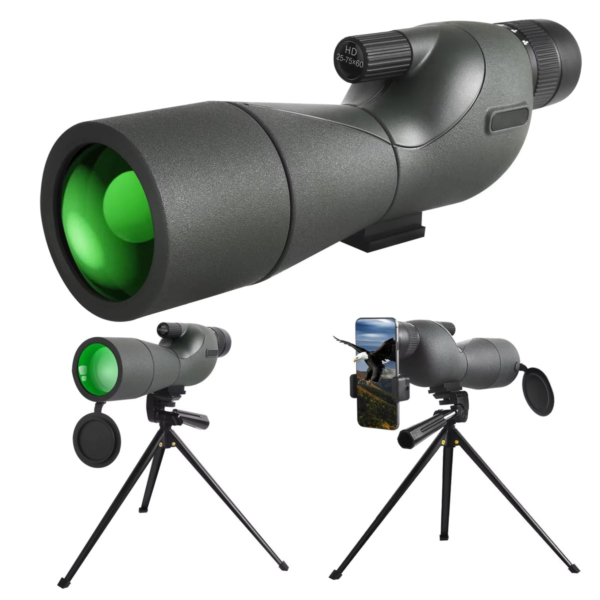 Monocular for Bird Observation - OrniLens v2 Model