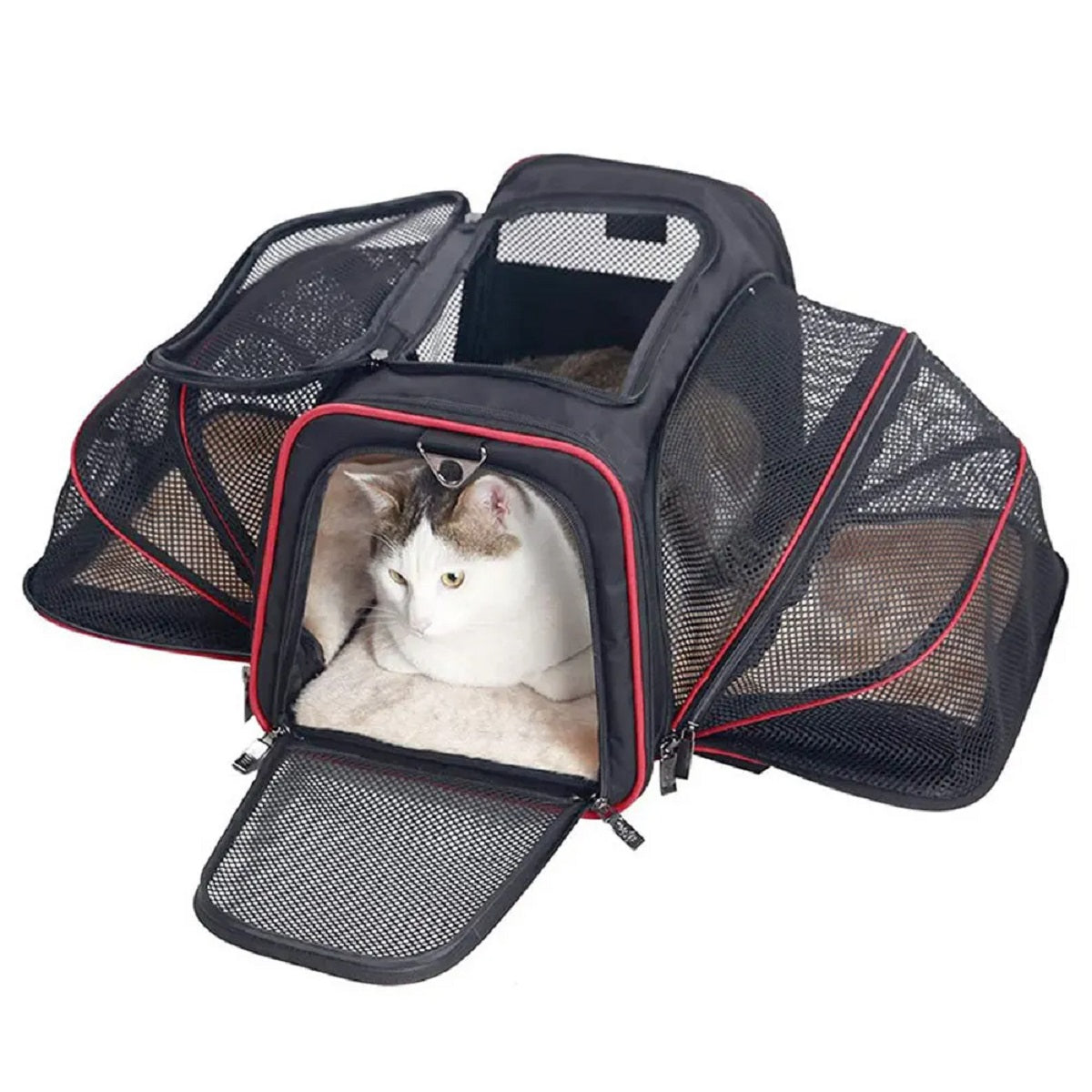 Foldable Dog Carrier with Safety Zipper – Breathable and Portable – Red