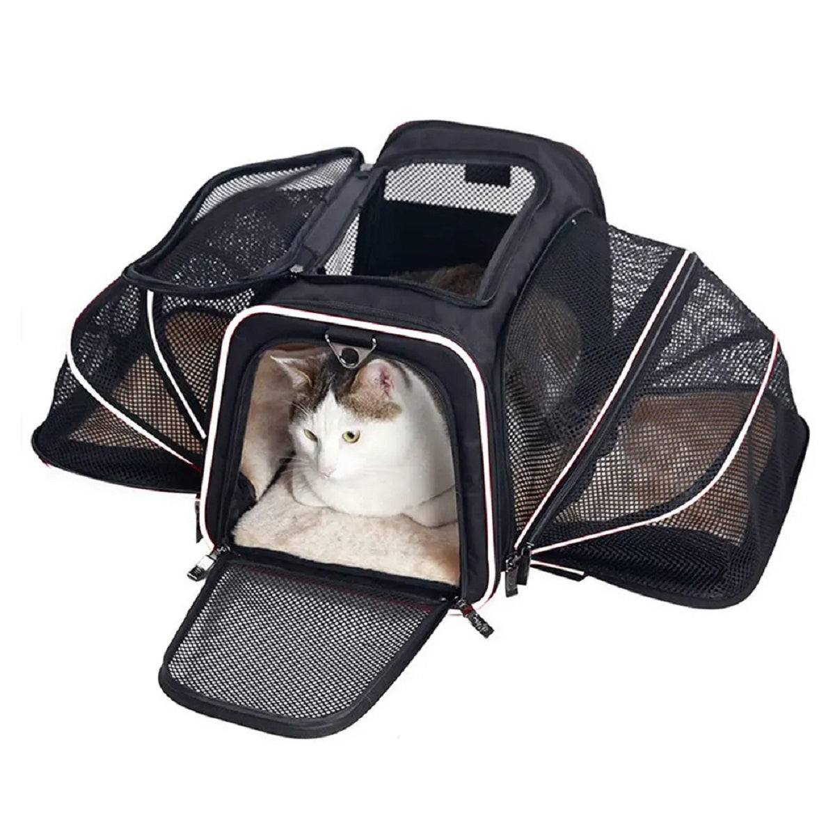 Foldable Dog Carrier with Safety Zipper – Breathable and Portable – White