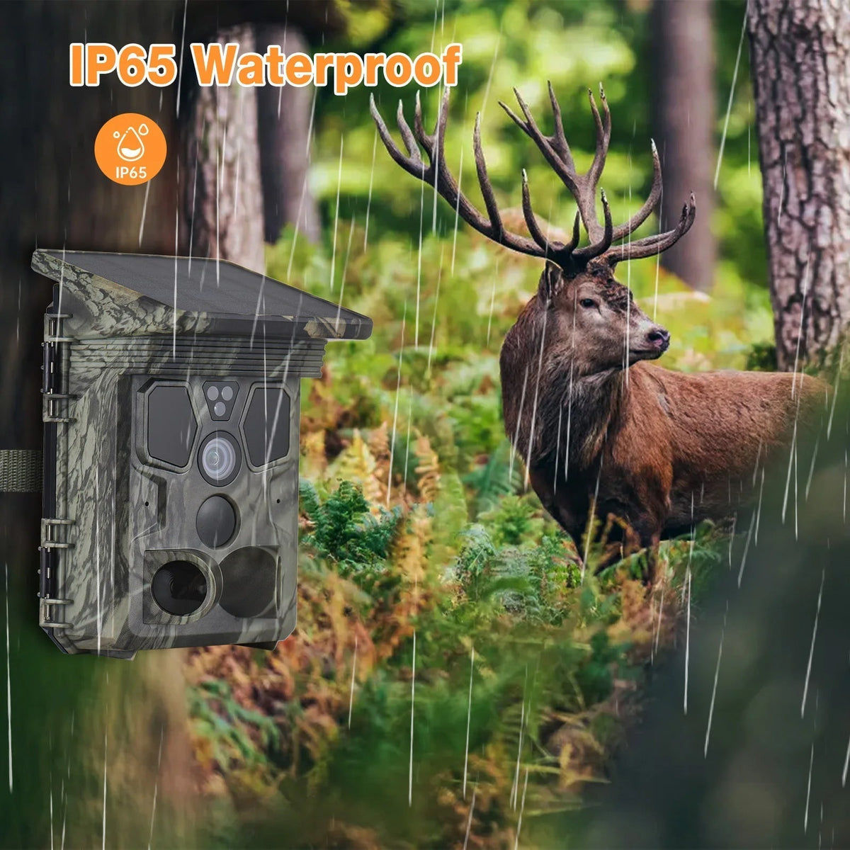 50MP 4K Solar Trail Camera for Wildlife Monitoring