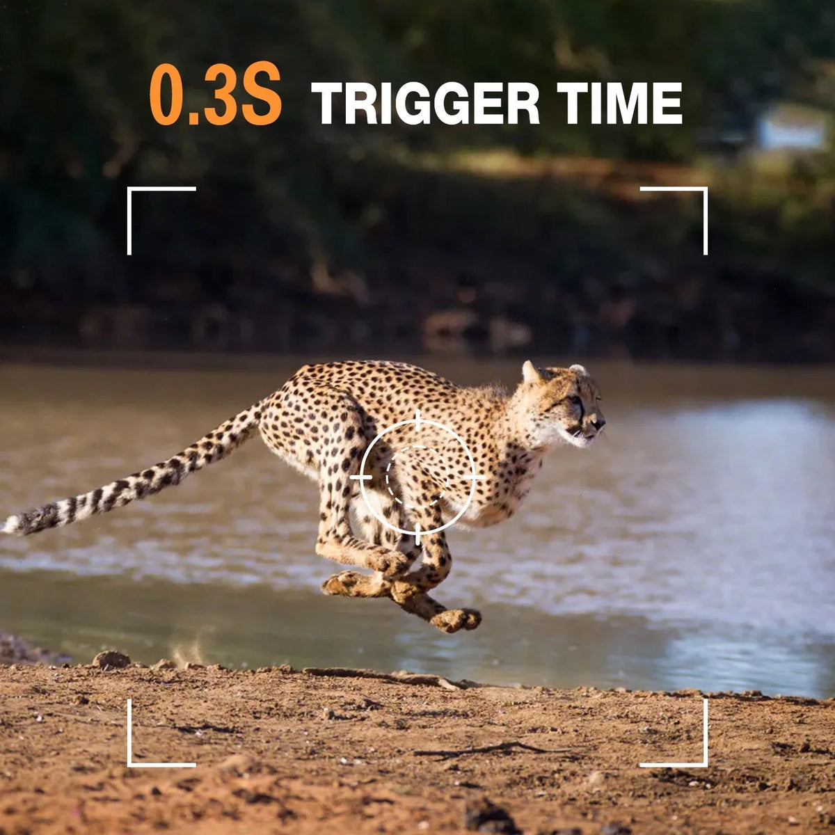50MP 4K Solar Trail Camera for Wildlife Monitoring