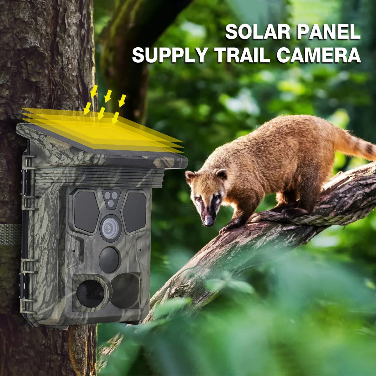 50MP 4K Solar Trail Camera for Wildlife Monitoring